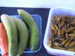 泡椒娱乐会长吃瓜,揭秘娱乐圈背后的“吃瓜”风云