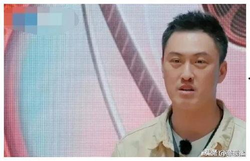 娱乐圈吃瓜爆料都有谁,揭秘明星背后的故事